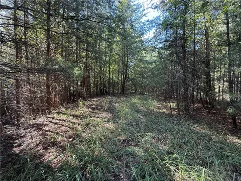 lot24 Wolf Pen Rd, Purlear, NC 28665 photo 10