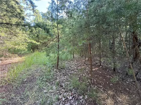 lot24 Wolf Pen Rd, Purlear, NC 28665 photo 17