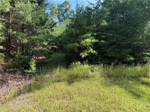 lot24 Wolf Pen Rd, Purlear, NC 28665 photo 3