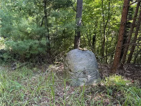lot24 Wolf Pen Rd, Purlear, NC 28665 photo 9