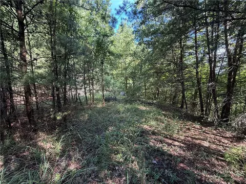 lot24 Wolf Pen Rd, Purlear, NC 28665 photo 14