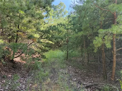 lot24 Wolf Pen Rd, Purlear, NC 28665 photo 4