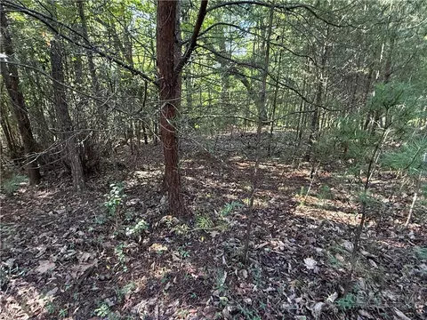 lot24 Wolf Pen Rd, Purlear, NC 28665 photo 12