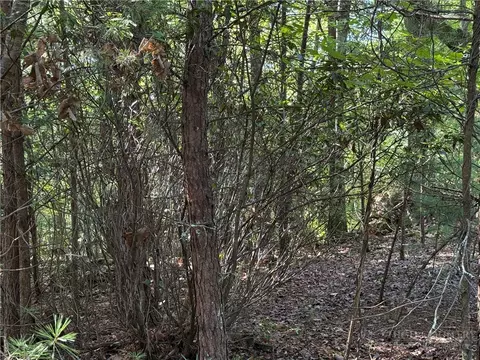 lot24 Wolf Pen Rd, Purlear, NC 28665 photo 13
