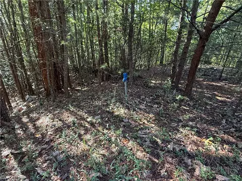 lot24 Wolf Pen Rd, Purlear, NC 28665 photo 11