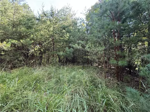 lot24 Wolf Pen Rd, Purlear, NC 28665 photo 6