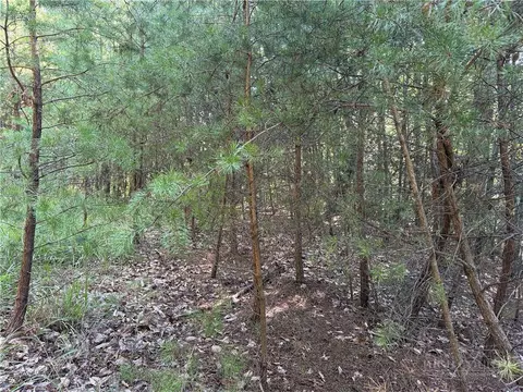 lot24 Wolf Pen Rd, Purlear, NC 28665 photo 5