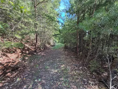 lot24 Wolf Pen Rd, Purlear, NC 28665 photo 7