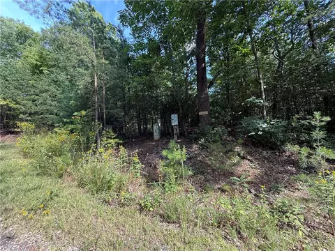 lot24 Wolf Pen Rd, Purlear, NC 28665 photo 2