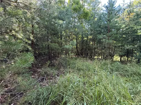 lot24 Wolf Pen Rd, Purlear, NC 28665 photo 8