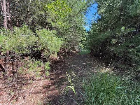lot24 Wolf Pen Rd, Purlear, NC 28665 photo 16