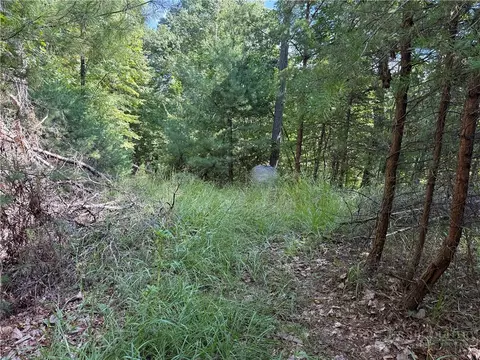 lot24 Wolf Pen Rd, Purlear, NC 28665 photo 15