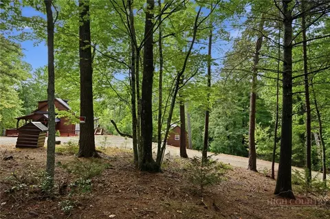 Exterior - 1158 Staghorn Rd, Purlear, NC 28665 photo 16 of 21