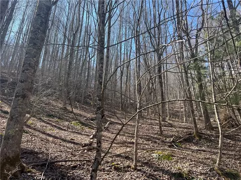 tbd Hart Rd, Lansing, NC 28643 photo 2