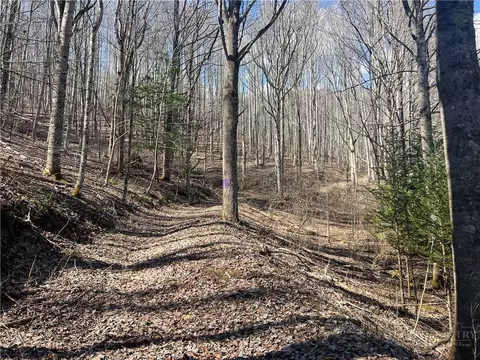 tbd Hart Rd, Lansing, NC 28643 photo 4