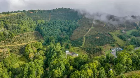 Other - 3115 Roaring Frk, Creston, NC 28615 photo 12 of 12