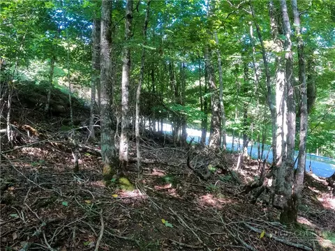 112 Tamarack Rd, Beech Mountain, NC 28604 photo 8