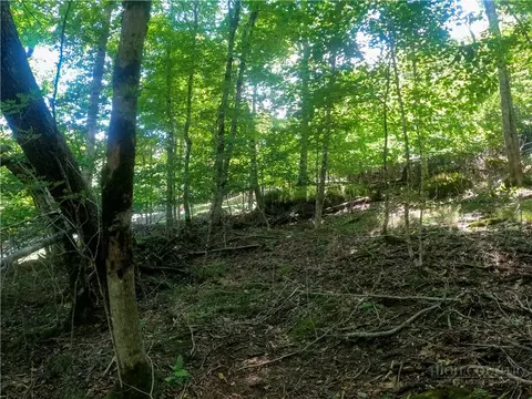 112 Tamarack Rd, Beech Mountain, NC 28604 photo 5