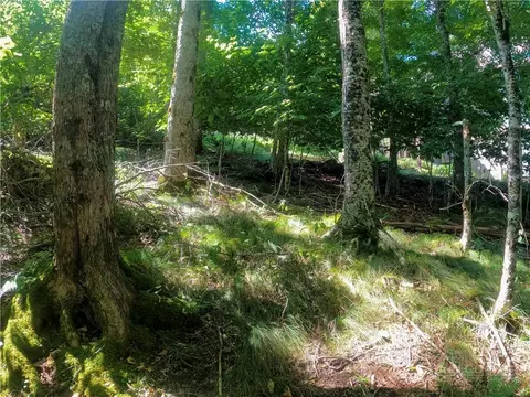 112 Tamarack Rd, Beech Mountain, NC 28604 photo 12