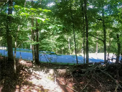 112 Tamarack Rd, Beech Mountain, NC 28604 photo 4