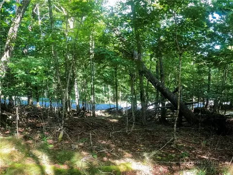 112 Tamarack Rd, Beech Mountain, NC 28604 photo 10
