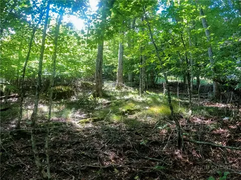 112 Tamarack Rd, Beech Mountain, NC 28604 photo 9