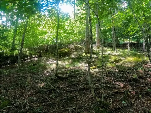 112 Tamarack Rd, Beech Mountain, NC 28604 photo 7