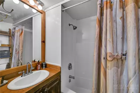 Bath - 141 Skiloft Rd, Beech Mountain, NC 28604 photo 4 of 4