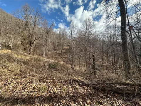 tbd Globe Rd, Lenoir, NC 28645 photo 28