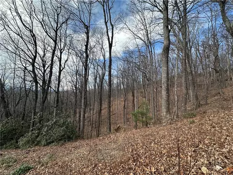 tbd Globe Rd, Lenoir, NC 28645 photo 14