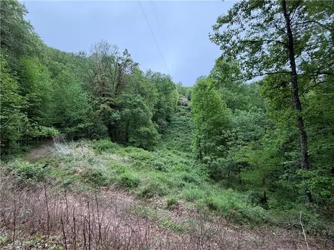tbd Globe Rd, Lenoir, NC 28645 photo 44