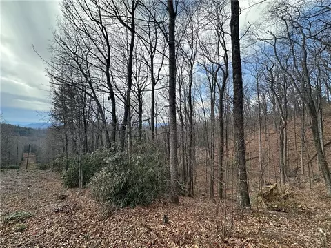 tbd Globe Rd, Lenoir, NC 28645 photo 27