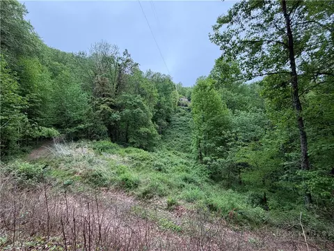 tbd Globe Rd, Lenoir, NC 28645 photo 44