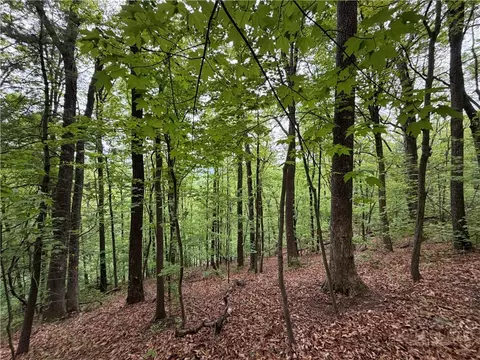 tbd Globe Rd, Lenoir, NC 28645 photo 12
