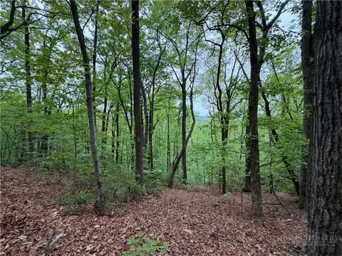 tbd Globe Rd, Lenoir, NC 28645 photo 43