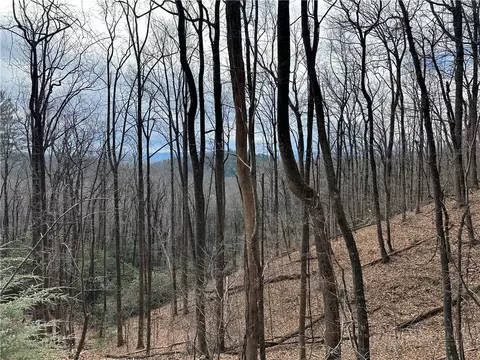 tbd Globe Rd, Lenoir, NC 28645 photo 5