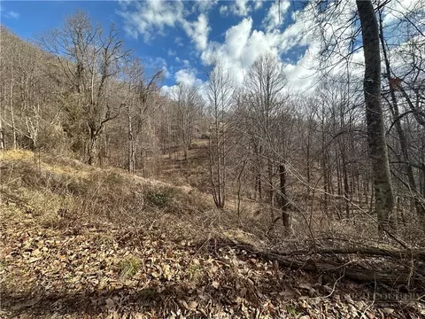 tbd Globe Rd, Lenoir, NC 28645 photo 28