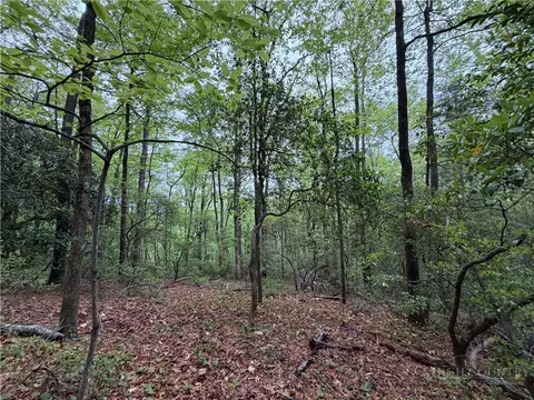 tbd Globe Rd, Lenoir, NC 28645 photo 4