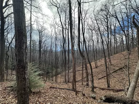 tbd Globe Rd, Lenoir, NC 28645 photo 13