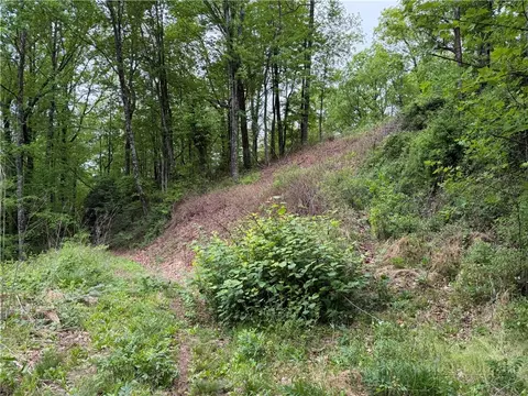 tbd Globe Rd, Lenoir, NC 28645 photo 45