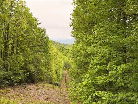 tbd Globe Rd, Lenoir, NC 28645 photo 42