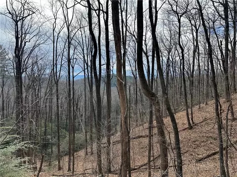 tbd Globe Rd, Lenoir, NC 28645 photo 5