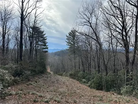tbd Globe Rd, Lenoir, NC 28645 photo 2
