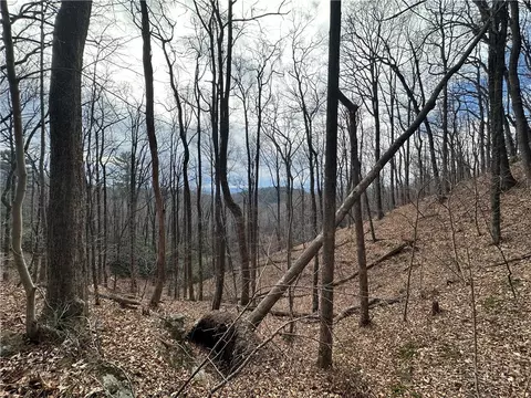 tbd Globe Rd, Lenoir, NC 28645 photo 15