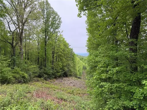 tbd Globe Rd, Lenoir, NC 28645 photo 40