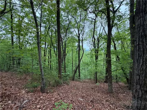 tbd Globe Rd, Lenoir, NC 28645 photo 43