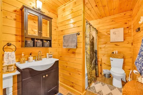 Bath - 2832 Roaring Fork Rd, Creston, NC 28615 photo 2 of 3