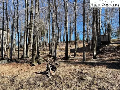 493 Saint Andrews Rd, Beech Mountain, NC 28604 photo 2