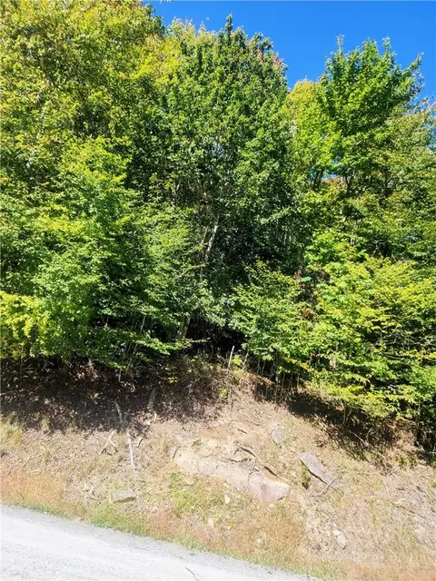 113 E Blueberry Ln, Beech Mountain, NC 28604 photo 4