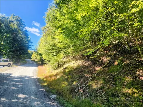 113 E Blueberry Ln, Beech Mountain, NC 28604 photo 2